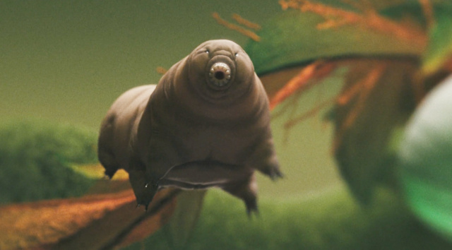 Silbersalz Awards - Best Science Documentary - Tardigrade