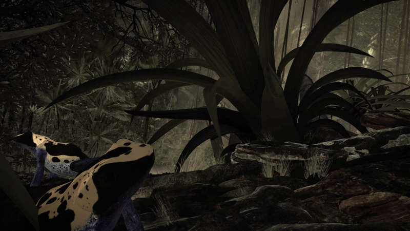 Inside Tumucumaque  Inside Tumucumaque